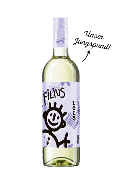 Grüner Veltliner Filius 2025
